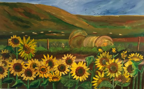 oil painting of sunflowers in a field with hay and mountains by artist Caroline Karp